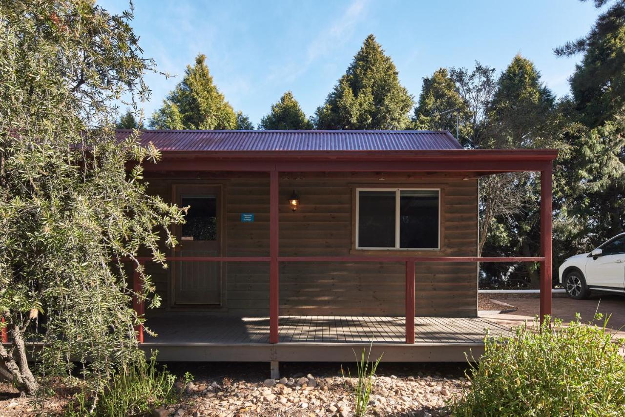 Nrma Bathurst Panorama Holiday Park Екстер'єр фото